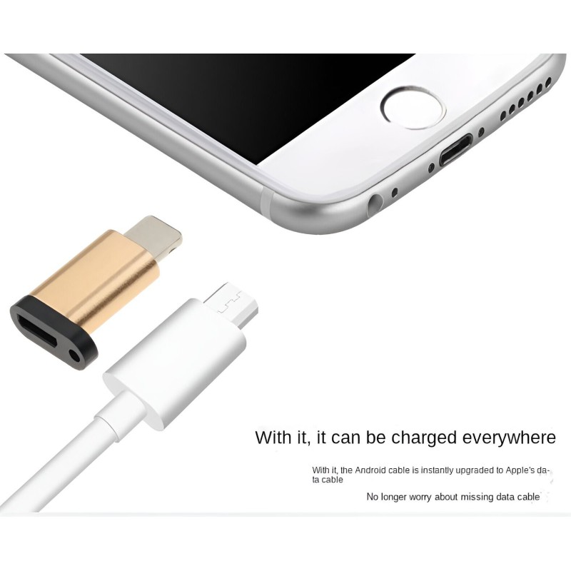 Picture of USB type C to lightning converter -Multicolor