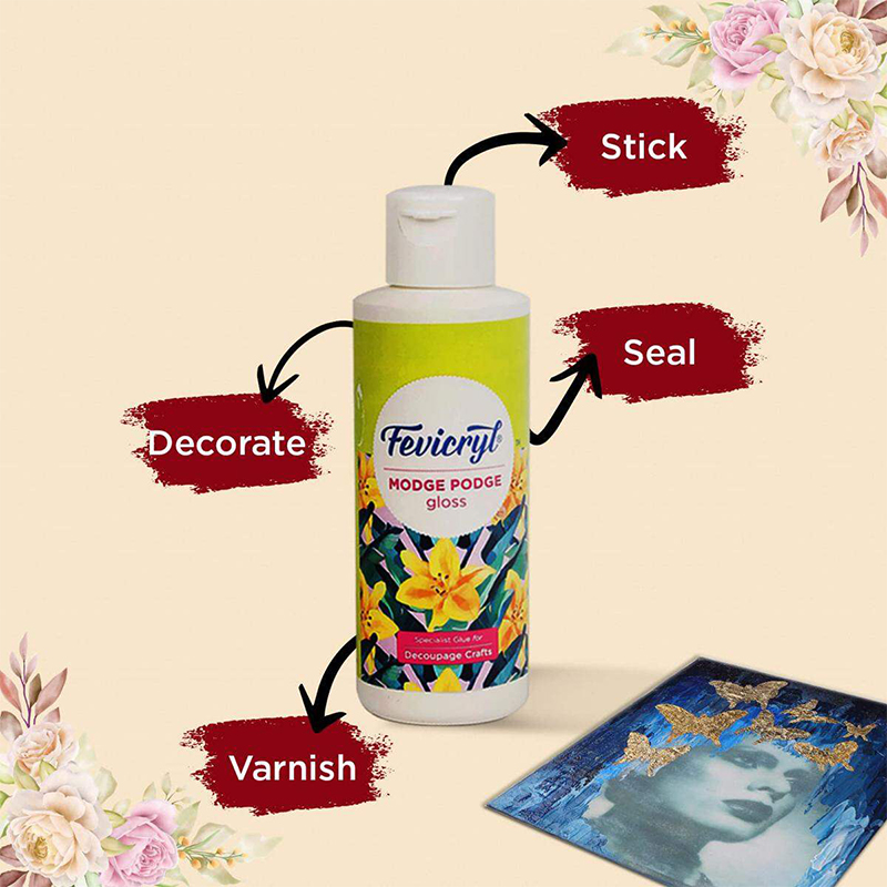 Picture of Definite Art Fevicryl Paint Gloss Modge Podge for Decoupage Art and Paint Finishes 120ml 1ps