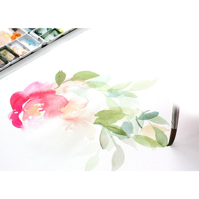 Picture of Maries জলের রঙ 5ml 12ps/18ps/24ps - water color 12ps