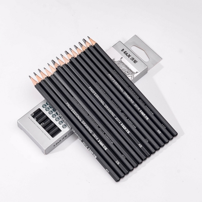 Picture of 14pcs Professional Drawing Sketch Pencil Set Graphite Pencil Art Supplies 6H 4H 2H HB BB 2B 3B 4B 5B 6B 7B 8B 10B 12B 14pcs Black