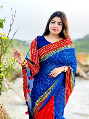 Picture of Hamim Fashion New Design Tant Boutiques Full Saree Embroidery Work (Tassels on the Achal)  - 13 Haat