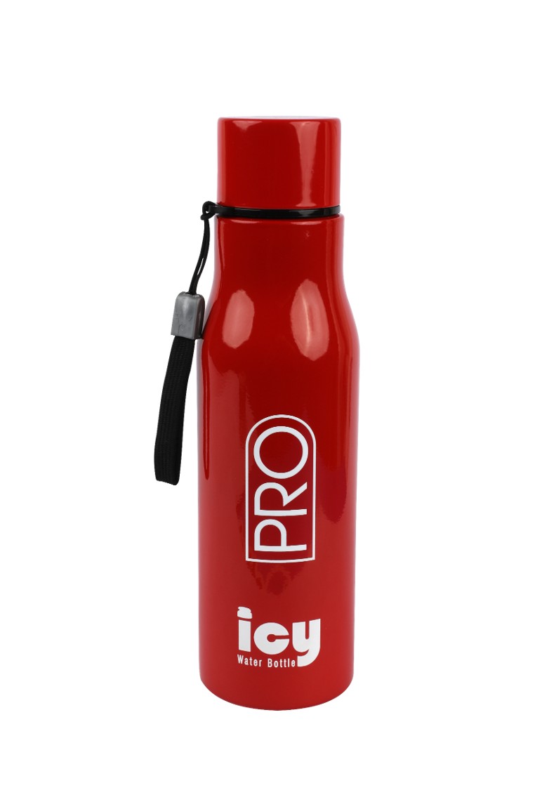 Picture of RFL SS Single Wall Water Bottle 650 ML|| Assorted 
