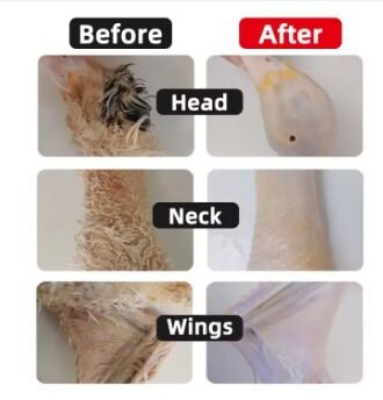 Picture of Electric Poultry Pulling Machine | Portable Feather Plucker for Chicken, Duck & Quail | Dual Motor Hair Removal Tool with Waterproof Design Feather Remover Poultry Plucker-250 gm