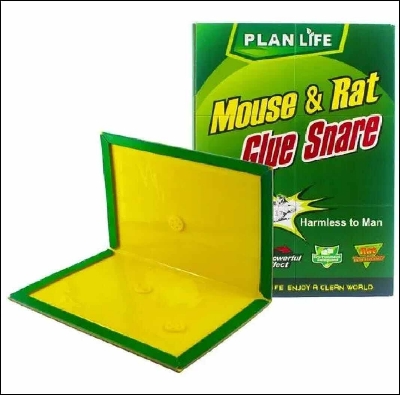 Picture of Mouse Rat Bond Traps Green Killer China-Multicolor