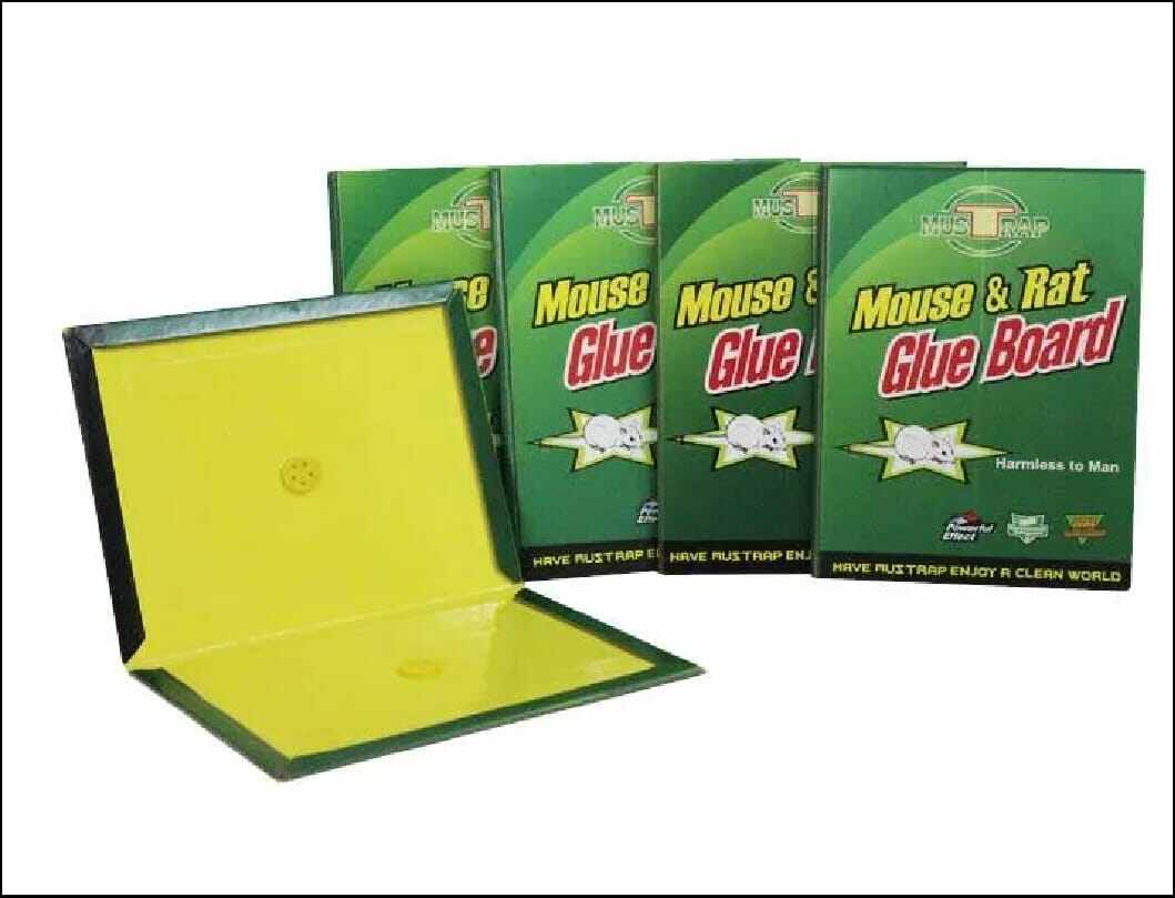 Picture of Mouse Rat Bond Traps Green Killer China-Multicolor