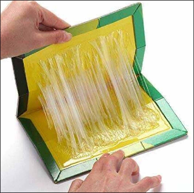 Picture of Mouse Rat Bond Traps Green Killer China-Multicolor