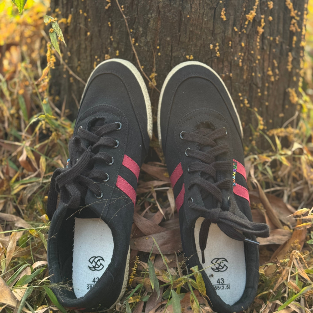 Picture of Spring and Summer Casual Canvas Shoes for Men, Classic Double-Strap Lace-Up Student Versatile Shoe