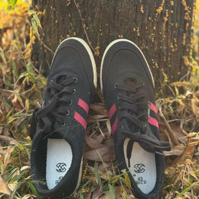 Picture of Spring and Summer Casual Canvas Shoes for Men, Classic Double-Strap Lace-Up Student Versatile Shoe
