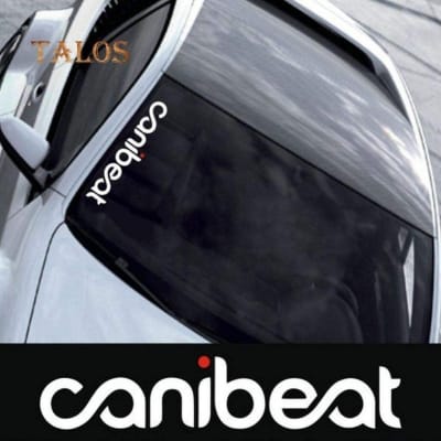 Picture of Styling Front Windshield Canibeat Sticker Car Reflective Sticker Car Sticker CANIBEAT Hellaflush - Black