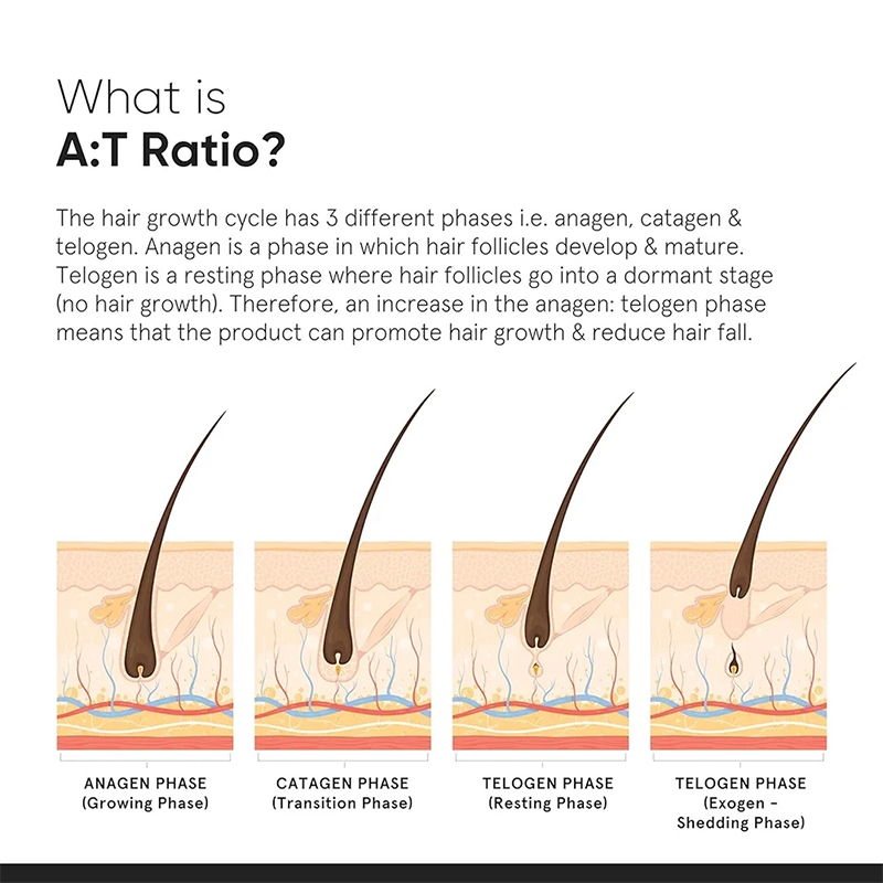 Picture of Minimalist Hair Growth Actives 18% Hair Serum-30ml