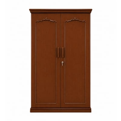 Picture of OMEGA Bashundhara Almirah 2 Doors