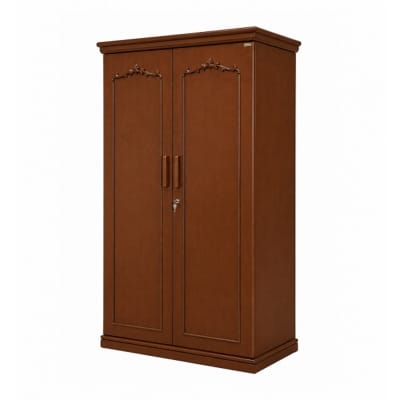 Picture of OMEGA Bashundhara Almirah 2 Doors