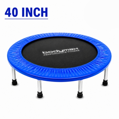 Picture of Trampoline 40 Inch Black and Blue BD Price
