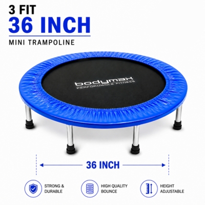 Picture of Trampoline 3 Fit / 36 Inch Black and Blue BD Price
