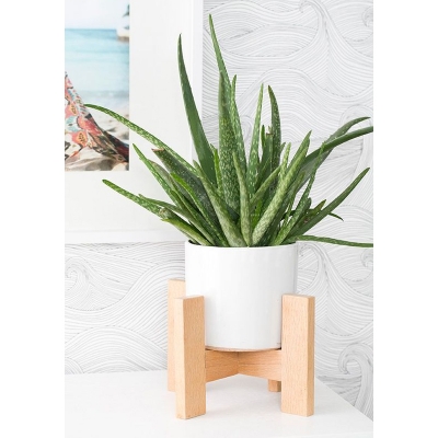 Picture of Plant Pot Holder Flower Pot Holde Bonsai Holder Rack Wood Stand SPPH012-Brown