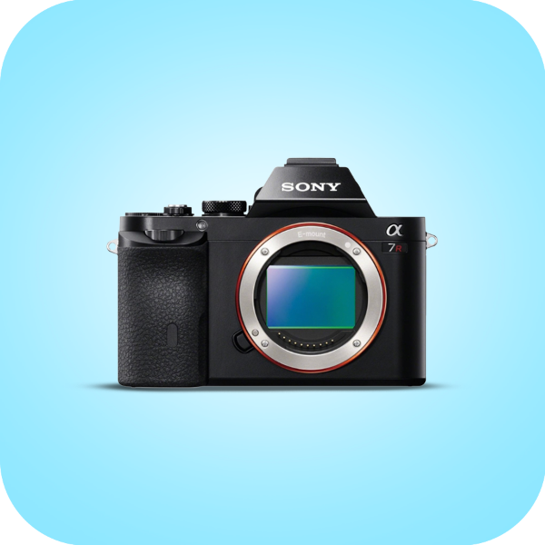 Picture for category Mirrorless