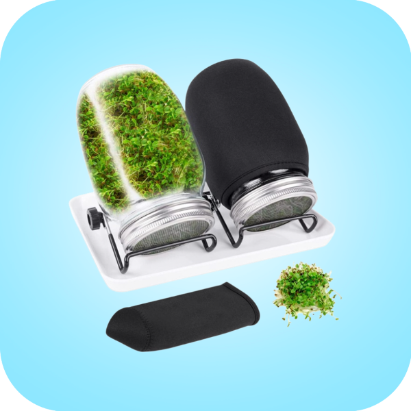 Picture for category Bean Sprout Maker