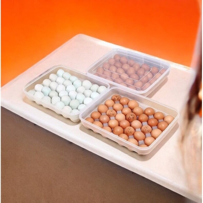 Picture of Safeguard Your Eggs with Our 34-Grid Storage Box! BPA-Free, Food-Grade Plastic, with Lid. Perfect Fit for Every Egg. Ideal for Fridges and Kitchens. Holds 34 Eggs. Quantity: 1 Pc.-White