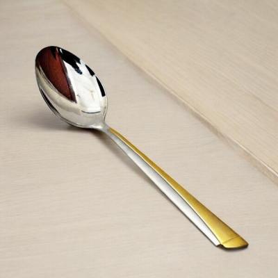 Picture of 10.2 Inch Curry Serving Spoon - Stainless Steel, Mirror Polish, Silver with Golden Mix, Non-Magnetic, Ideal for Cooking and Serving, Durable and Elegant, Single Piece-Silver