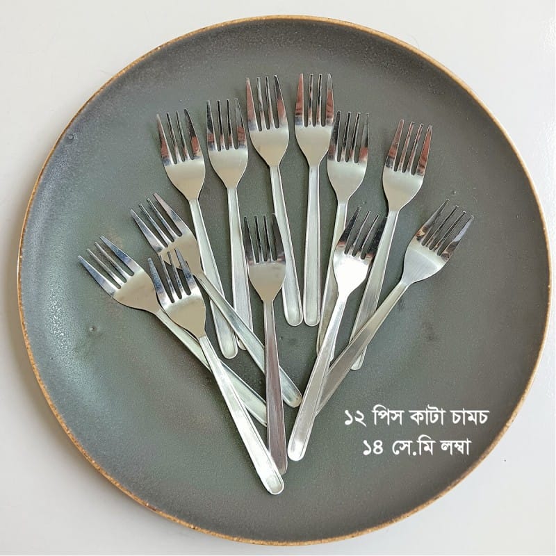Picture of Sara 12 pcs Stainless steel Fork spoon silver for kitchen 14cm long best spoon for House, Kitchen, Travel, restaurant  etc-Silver