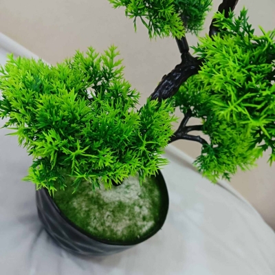 Picture of 5 Heads Green Artificial Bonsai Tree in Plastic Vases - Office Table Decoration with Gram Beauty Flower-Multicolor