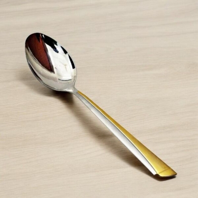 Picture of 10.2 Inch Curry Serving Spoon - Stainless Steel, Mirror Polish, Silver with Golden Mix, Non-Magnetic, Ideal for Cooking and Serving, Durable and Elegant, Single Piece-Silver