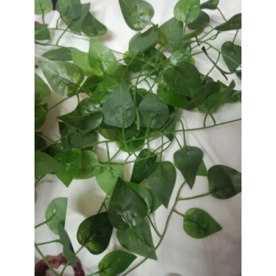 Picture of Artificial Hanging Vines Plant - 6-7 feet - artificial flower-Green