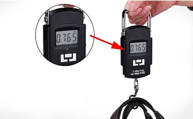 Picture of Portable Electronic Scale Digital Weight Machine 50kg