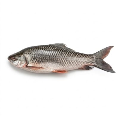 Rui Fish (রুই মাছ) 1.2 kg (50gm±) Per pcs Before Cutting