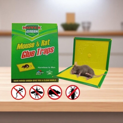 Picture of Powerful Sticky Mouse Trap Board – Non-Toxic Rodent Glue Pad – Catch Rats, Mice, Bugs, and Snakes – Safe Indoor Pest Control Solution – 1 Piece-green