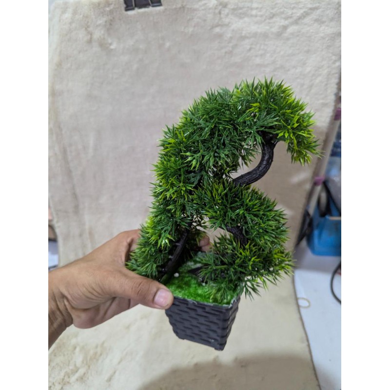 Picture of 10-Inch Green Artificial Bonsai Tree with Unique Elephant Trunk Design in a Stylish Black Plastic Vase-Green