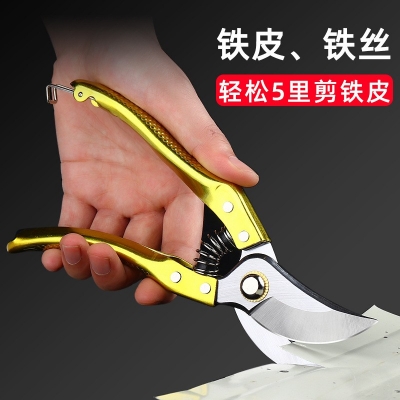 Picture of Pruning Shears - Steel Blade Pruner with Ergonomic Handles, Gardening Scissors, Bonsai Cutter, Professional Gardening Hand Tools-Multicolor