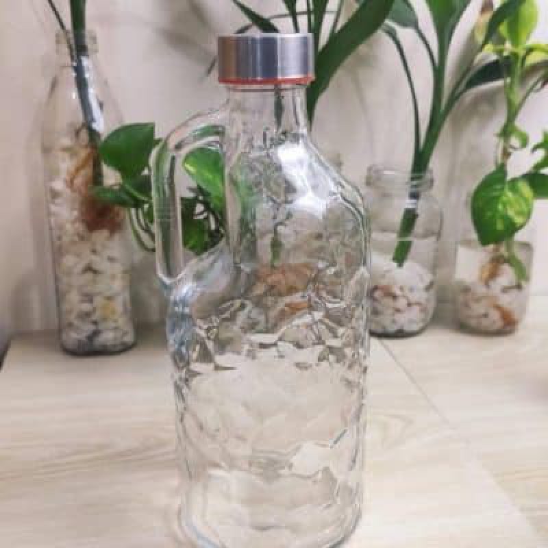 Picture of 1000ml Textured Hammered Borosilicate Glass Bottle with Handle – Leak-Proof, Freezer-Safe, Food-Grade Stainless Steel Cap for Water, Juice & Daily Hydration.-Multicolor
