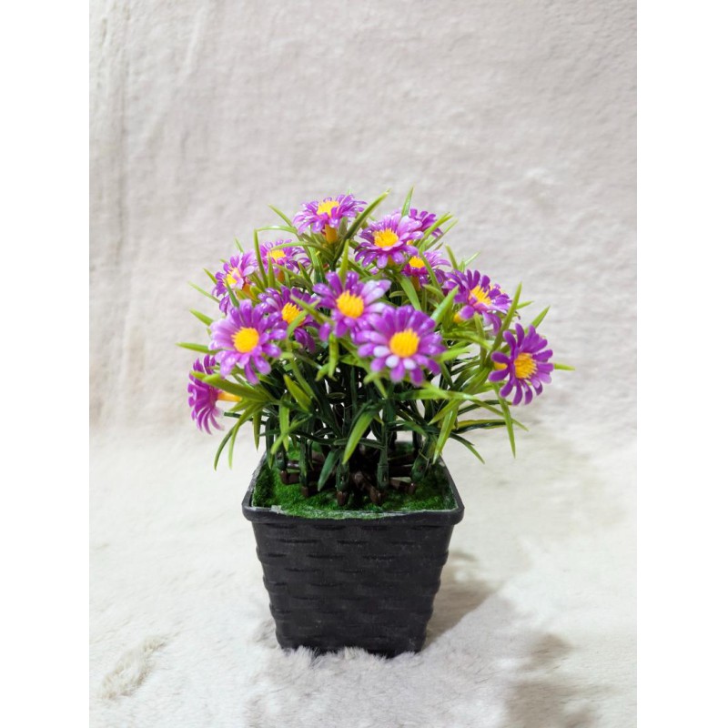 Picture of Realistic Artificial Purple Daisy Potted Plant for Home Decor, Office Table, and Indoor Aesthetic Room Decoration-Multicolor