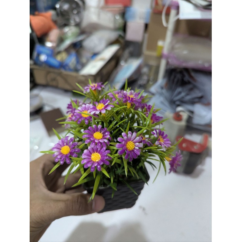 Picture of Artificial Purple Aster Daisy Potted Plants for Home Decoration Lifelike Indoor Fake Flowers with Black Plastic Pot Small Decorative Floral Arrangement for Office Desk Living Room Bedroom Shelf Aesthetic Decor.-Multicolor