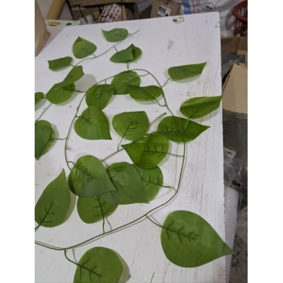 Picture of Premium Artificial Ficus Money Plant Creepers for Home Decoration, Realistic Silk Greenery Ivy Leaf Garland Strings, 7 Feet Hanging Vines for Wedding Party Decor, Indoor Outdoor Aesthetic Wall Hanging Green Leaves.-Multicolor