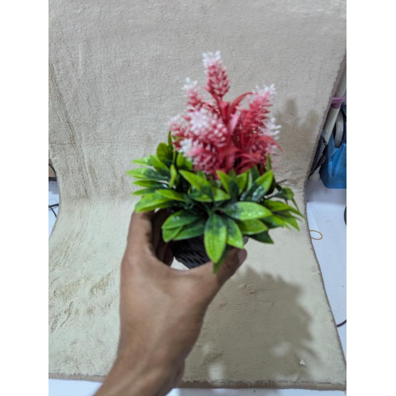 Picture of Artificial Mini Potted Plant with Pink and White Flowers in Black Woven Pot for Home and Office Decor-Multicolor