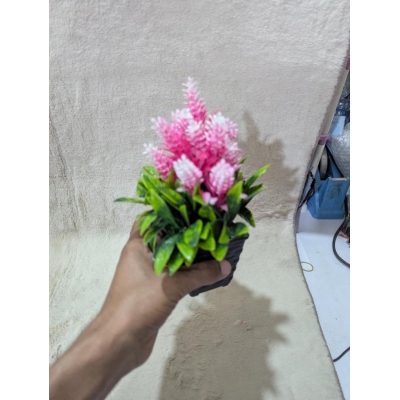 Picture of Realistic Artificial Pink Cone Ginger Bonsai Plant in Decorative Black Pot for Home, Office, and Indoor Tabletop Decor-Multicolor