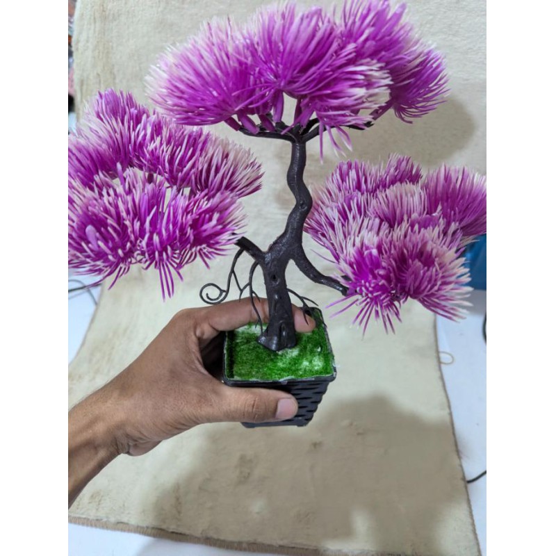 Picture of Purple Artificial Pine Bonsai Tree in Black Pot for Office Desk, Home Decor, and Tabletop Table Centerpiece-purple
