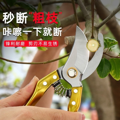 Picture of Pruning Shears - Steel Blade Pruner with Ergonomic Handles, Gardening Scissors, Bonsai Cutter, Professional Gardening Hand Tools-Multicolor