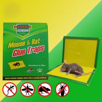 Picture of Powerful Sticky Mouse Trap Board – Non-Toxic Rodent Glue Pad – Catch Rats, Mice, Bugs, and Snakes – Safe Indoor Pest Control Solution – 1 Piece-green