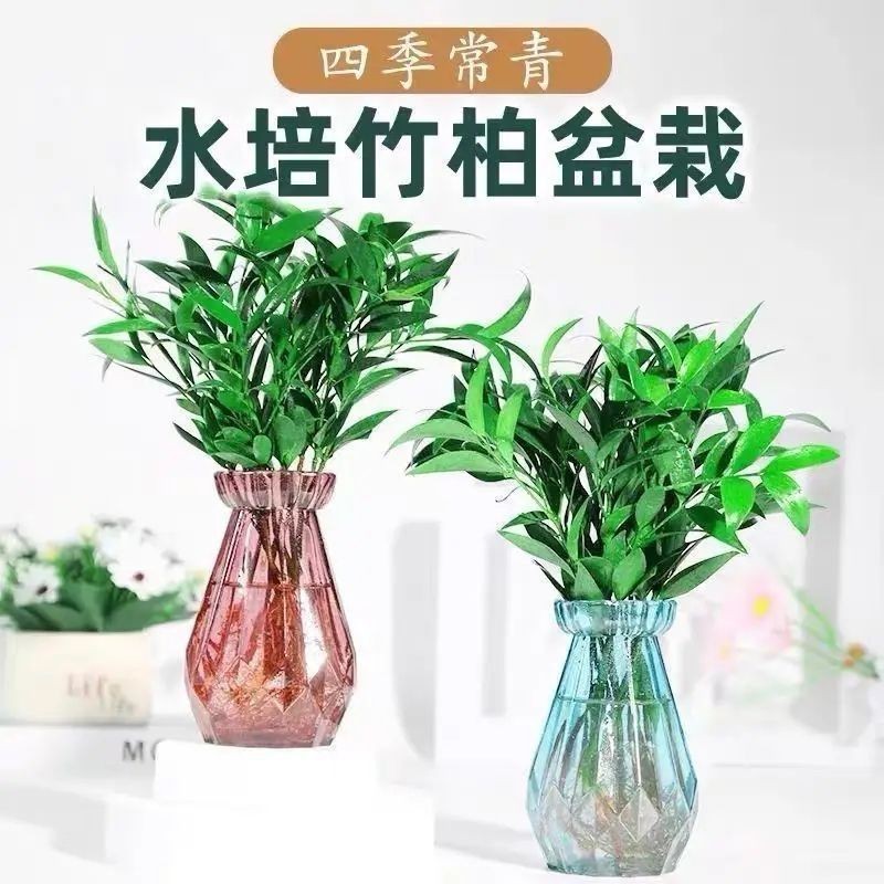 Picture of 1 pcs Vases for Flowers 7.87 Inch Transparent Glass Vase Modern Living Room Home Coffee Table Bedroom Study Office Decoration Vase Gift Transparent/pink/gray Vases for Decor Living Room-Multicolor