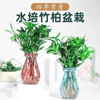 Picture of 1 pcs Vases for Flowers 7.87 Inch Transparent Glass Vase Modern Living Room Home Coffee Table Bedroom Study Office Decoration Vase Gift Transparent/pink/gray Vases for Decor Living Room-Multicolor