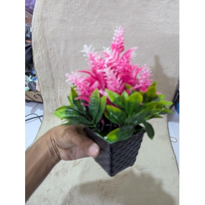 Picture of Realistic Artificial Pink Cone Ginger Bonsai Plant in Decorative Black Pot for Home, Office, and Indoor Tabletop Decor-Multicolor