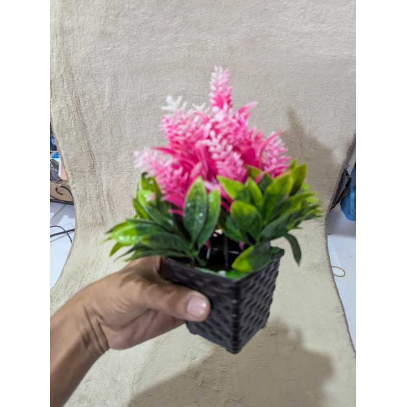 Picture of Realistic Artificial Pink Cone Ginger Bonsai Plant in Decorative Black Pot for Home, Office, and Indoor Tabletop Decor-Multicolor