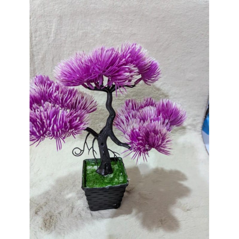 Picture of Purple Artificial Pine Bonsai Tree in Black Pot for Office Desk, Home Decor, and Tabletop Table Centerpiece-purple