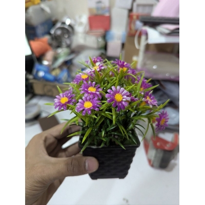 Picture of Artificial Purple Aster Daisy Potted Plants for Home Decoration Lifelike Indoor Fake Flowers with Black Plastic Pot Small Decorative Floral Arrangement for Office Desk Living Room Bedroom Shelf Aesthetic Decor.-Multicolor