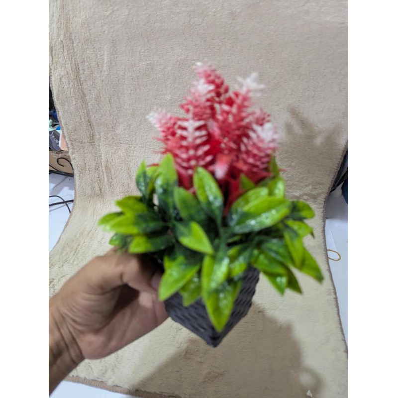 Picture of Artificial Mini Potted Plant with Pink and White Flowers in Black Woven Pot for Home and Office Decor-Multicolor