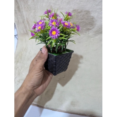 Picture of Realistic Artificial Purple Daisy Potted Plant for Home Decor, Office Table, and Indoor Aesthetic Room Decoration-Multicolor