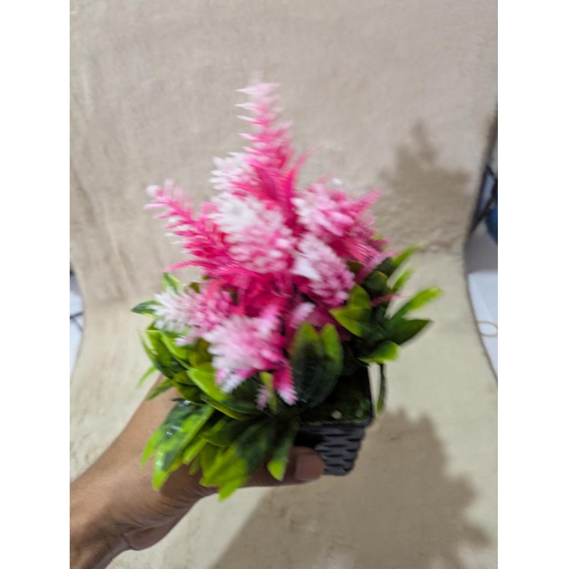 Picture of Realistic Artificial Pink Cone Ginger Bonsai Plant in Decorative Black Pot for Home, Office, and Indoor Tabletop Decor-Multicolor